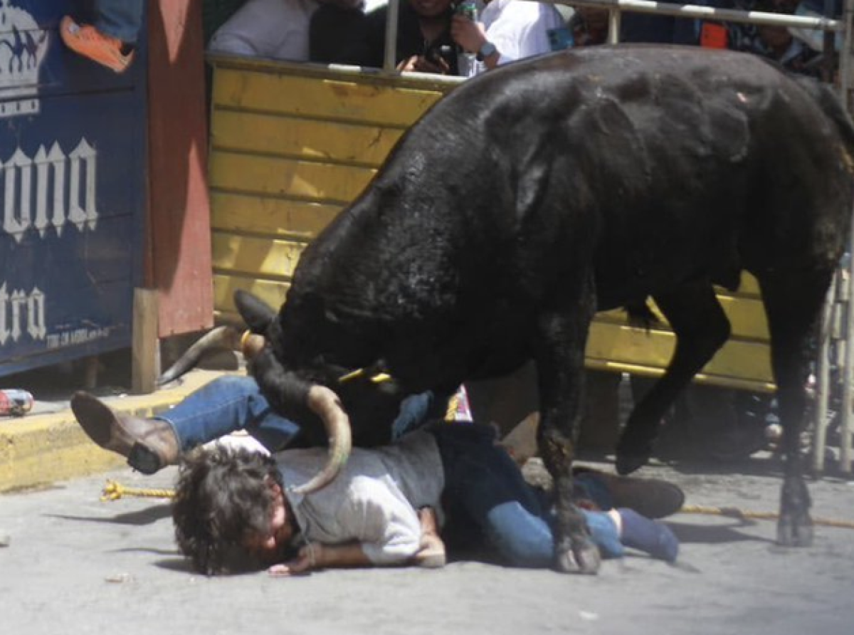 Todo Un Éxito